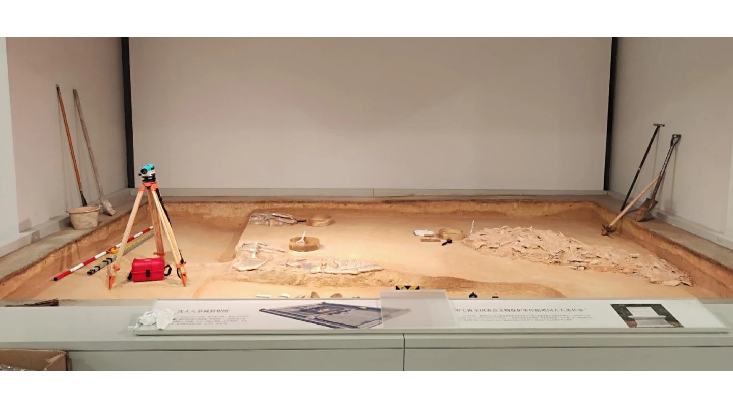 Maoming Chen Jinzhang Art Gallery project documentation, view 7